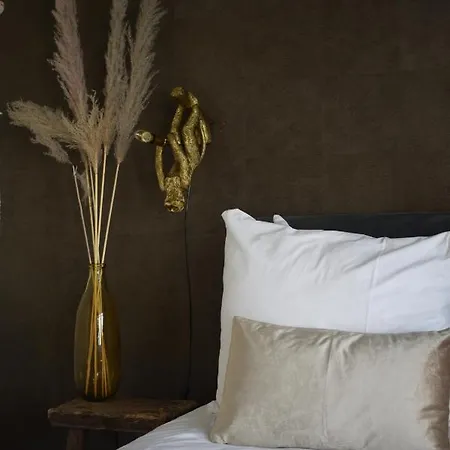 Hotel Boutique Ham 2*