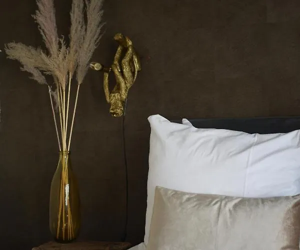 Hotel Boutique Ham 3*